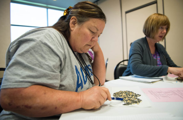 Deborah Hensley, an 8th-grade science teacher at Adair Couty Middle School, sorts through birdseed to find beads as part of a lesson used to demonstrate more sustainable mining techniques during the Kentucky Crushed Stone Association teachers’ workshop. The workshop was revived after a one-year absence, with an emphasis on providing lessons aligned with Kentucky standards. Photo by Bobby Ellis, June 21, 2017