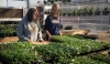 Franklin-Simpson students learn how to grow and sell plants in the school's green house. Photo provided by Simpson County schools