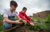 Sixth-graders Lane Bowling, left, and R.J. Mynhier pick spinach from one of the raised garden beds at Rowan County Middle School. Photo by Bobby Ellis, May 18, 2016