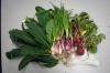 Radishes, onions and kale picked from the garden at Rowan County Middle School sits on a table in the teacher lounge. The vegetables are sold to students and teachers to raise money for projects to combat community hunger as part of the school's project-based learning initiative. Photo by Bobby Ellis, May 18, 2016