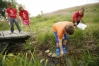 Fourth-grade student Jake Muntz collects a sample of water from  the stream to test for nutrient levels at Glenn Marshall Elementary School (Madison County). Photo by Amy Wallot, May 9, 2014