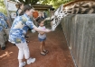 Kentucky School for the Blind senior Ambre Cooper helps Vivica Bonner, 4, feed a giraffe at the Louisville Zoo. Copper, who would like to study veterinary medicine after she graduates, was helping with the public feeding of the giraffes.  Photo by Amy Wallot, June 21, 2011