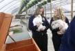 Senior Jessica Evans, left, and junior Kelsey Morris take rabbits Otis and Fluffy out of their pens at Lone Oak High School (McCracken County) Jan. 7, 2011. Photo by Amy Wallot