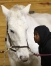 Eighth-grade student Davontae Cobb combs a horse’s tail at The STABLES (Fayette County). Cobb said he enjoys working with the horses. Photo by Amy Wallot, Nov. 28, 2012