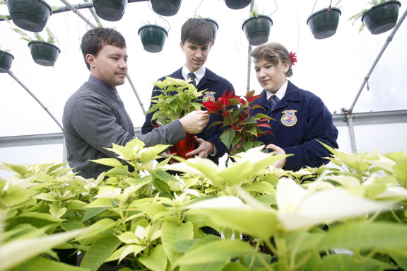 Agriculture teacher Coye Elliott, left, looks over poinsettias with seniors Drew Rodgers and Ruth Wooten at Lone Oak High School (McCracken County) Jan. 7, 2011. They sold 600 poinsettias during the holidays and saved some to grow into much larger plants for next year. Photo by Amy Wallot