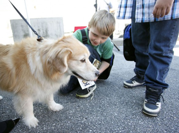 Northern Elementary School (Scott County) 4th-grade student Jacob Spring pets Ann Evans' dog Annie Roux. Evans, executive director of the Governor's Mansion, told him that Annie Roux is best friends with Gov. Steve Beshear's dog Tory.