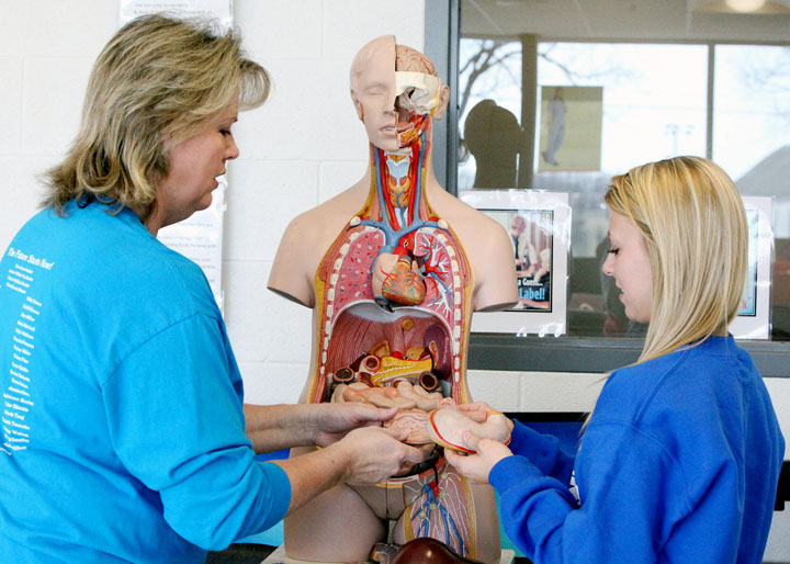 Franklin County Career and Technology Center instructor Kathy Meador and senior Hailey Boden examine internal organs on a model during class. Photo by Tim Thornberry, March 21, 2014