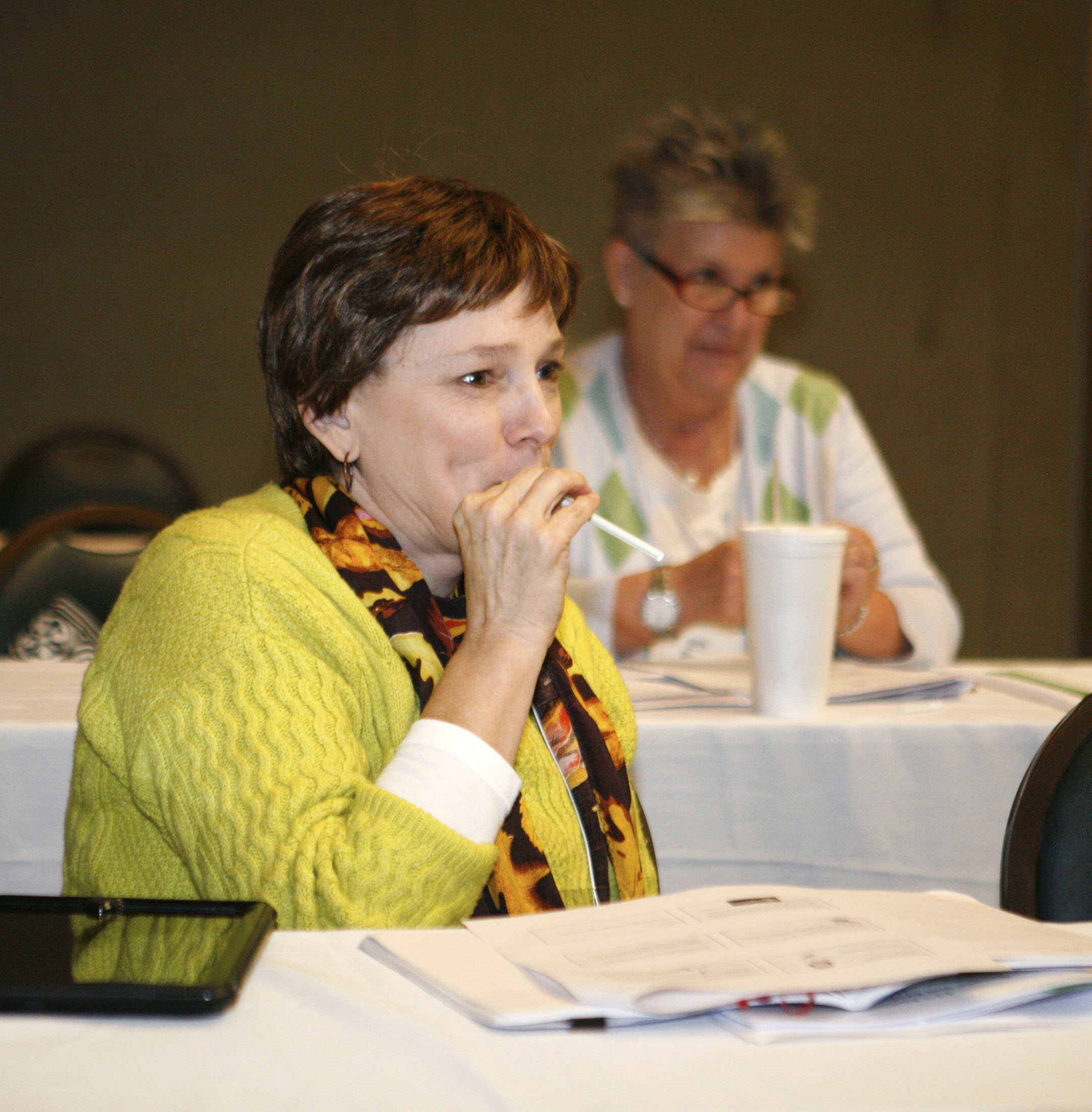 Science teachers help colleagues get a better handle on standards