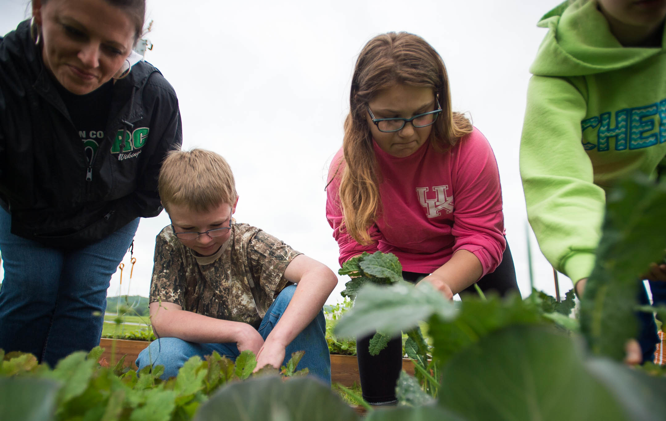 Sixth-graders Gabe Kidd, left, and Jenna Hunt help teacher Jennifer Pecco pick kale out of one of the raised garden beds at Rowan County Middle School. The beds are part of the school's project-based learning initiative to combat hunger in the community. Photo by Bobby Ellis, May 18, 2016