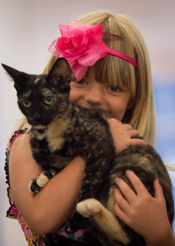 Shelley White carries a cat over to a couch during the "Reading to Cats" program. Photo by Bobby Ellis, July 12, 2016