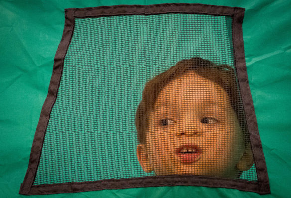 Keydon Caudill presses his face against the window of a tent in the cat play room at the Kyova Mall. Photo by Bobby Ellis, July 12, 2016