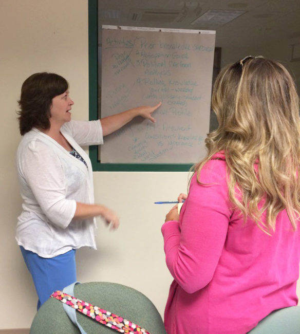 Tiffany Gruen, a teacher at Howell Elementary School (Erlanger-Elsmere Independent) worked with another educator at last December's kickoff meeting of the Kentucky Text Set Project. The intensive training was designed to help teachers begin creating challenging, grade-level specific texts sets over a variety of engaging literacy and literary topics. Photo submitted