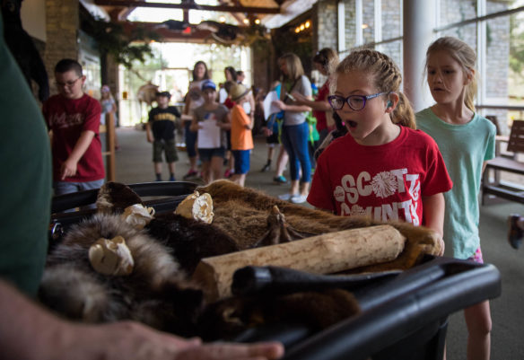 Madison Loring, a 4th-grader at Western Elementary (Scott County), reacts as she walks by a display of furs during a field trip to Salato Wildlife Center in Frankfort. Photo by Bobby Ellis, April 14, 2017