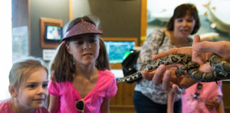 Aubrery Day, left, and Addison Moore look at a snake being held by a wildlife educator during a field trip to Salato Wildlife Center in Frankfort. Photo by Bobby Ellis, April 14, 2017