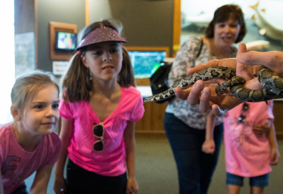 Aubrery Day, left, and Addison Moore look at a snake being held by a wildlife educator during a field trip to Salato Wildlife Center in Frankfort.  Photo by Bobby Ellis, April 14, 2017