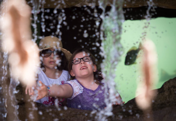 Eliza Ketternring, a 4th-grader from Western Elementary (Scott County) reaches out to touch a waterfall while visiting the "Living Stream" exhibit at Salato Wildlife Center. Photo by Bobby Ellis, April 14, 2017