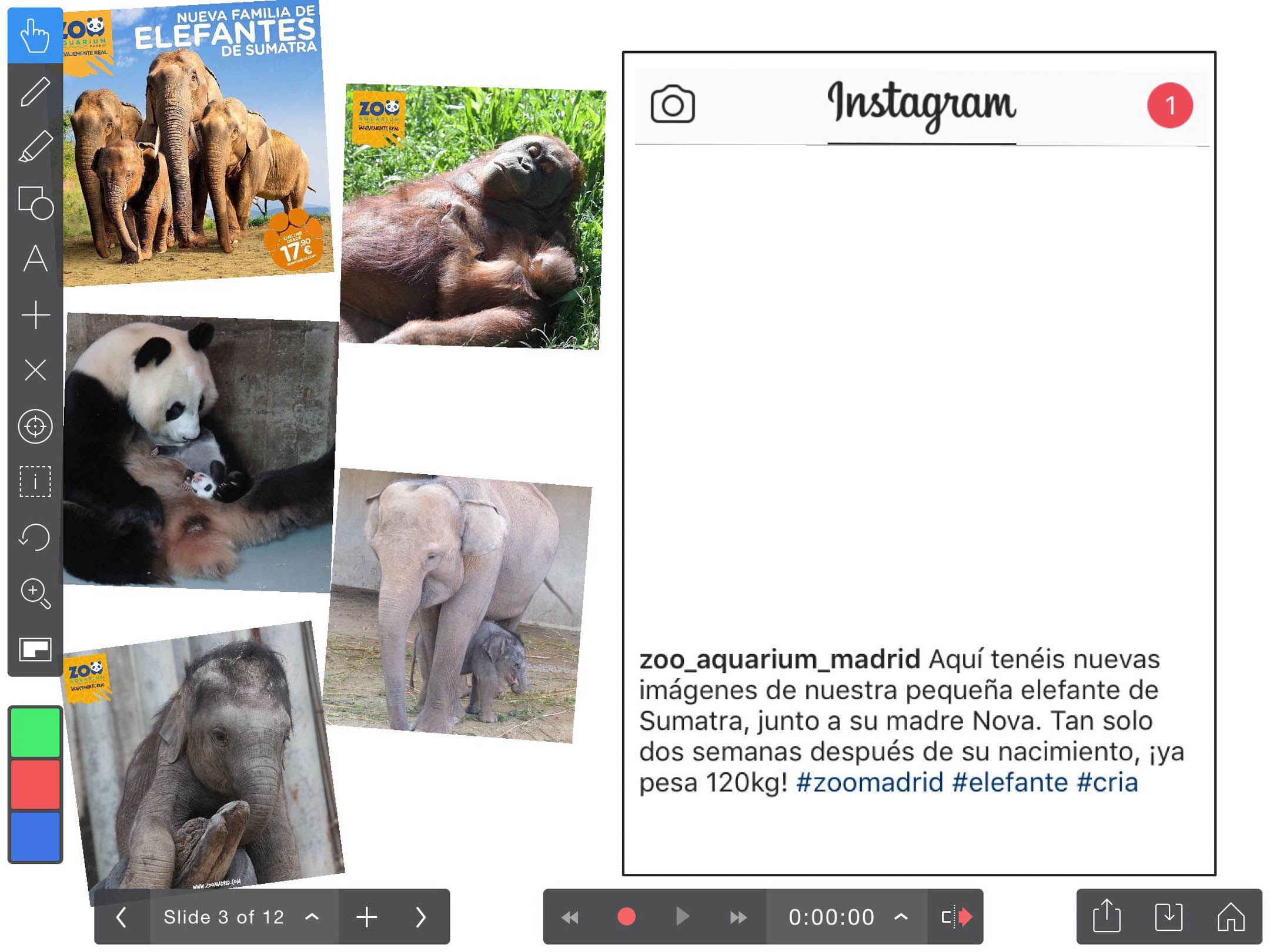 This interactive activity, created by Dorie Conlon Perugini, uses authentic text. Novice students read a real caption posted by the Madrid Zoo and choose the photo from the zoo’s “camera roll” that best matches that caption. Photo submitted by Dorie Conlon Perugini