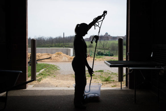 Alvina Maynard prepares to help shear the two alpacas at the Locust Trace AgriScience Center (Fayette County). Photo by Bobby Ellis, March 30, 2017