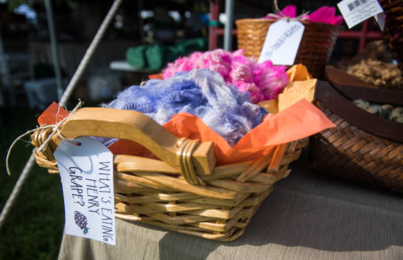 Dyed fleece from Henry the alpaca sits on a display table at the Kentucky Sheep and Fiber Festival. Photo by Bobby Ellis, May 20, 2017