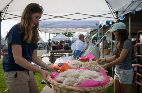 Kiley Power, left, and Shantel Sturgill set up their booth and table at the Kentucky Sheep and Fiber Festival. Photo by Bobby Ellis, May 20, 2017