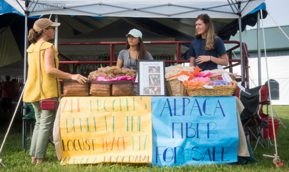 Shantel Sturgill, center, and Kiley Power speak to a potential customer during the Kentucky Sheep and Fiber Festival