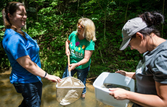 Stephanie Floyd, left, Rometta Brown and Dawn Curtsinger use a net and tote to search for insects, crayfish and other water life in a creek outside of Pulaski County High School during a water quality workshop put on to help science teachers introduce their students to water quality labs. Photo by Bobby Ellis, May 31, 2017
