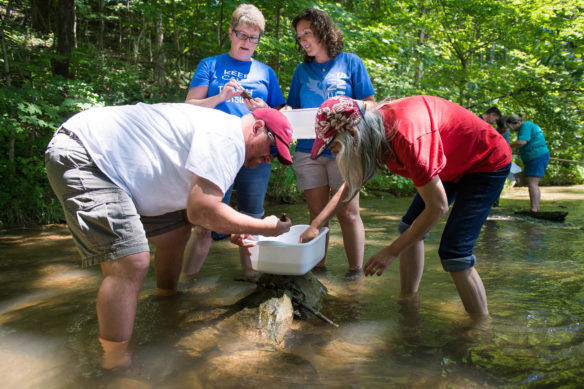 Science teachers look through rocks and mud pulled from a creek for wildlife during a water quality workshop. Photo by Bobby Ellis, May 31, 2017