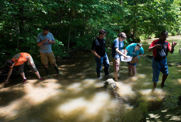 A group of science teachers wade through a creek outside of Pulaski County High School as they search for wildlife in the water during a water quality workshop. Photo by Bobby Ellis, May 31, 2017