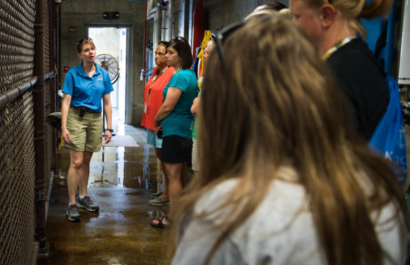 Amy Seadler gives a behind the scenes tour of the seal and sea lion enclosure to teachers during the Louisville Zoo in 3D event. Photo by Bobby Ellis, June 13, 2017