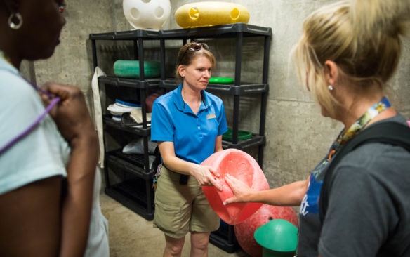 Amy Seadler shows teachers the different toys given to bears at the Louisville Zoo. Photo by Bobby Ellis, June 13, 2017