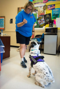 Regina Spencer, the day treatment counselor at The Providence School (Jessamine County), works with Kompass, a therapy dog. Spencer takes care of Kompass and fellow therapy dog Erik at her own expense and brings them to school each day. Photo by Bobby Ellis, Aug. 18, 2017
