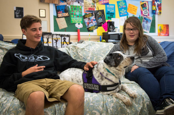 Jarred Moore, left, and Dakota Washington, both 9th-grade students at The Providence School (Jessamine County), pet Kompass, a therapy dog used at the school. Kompass is one of two therapy dogs that interact with students at The Providence School, one of 11 Alternative Programs of Distinction recognized by the Kentucky Department of Education earlier this year. Photo by Bobby Ellis, Aug. 18, 2017