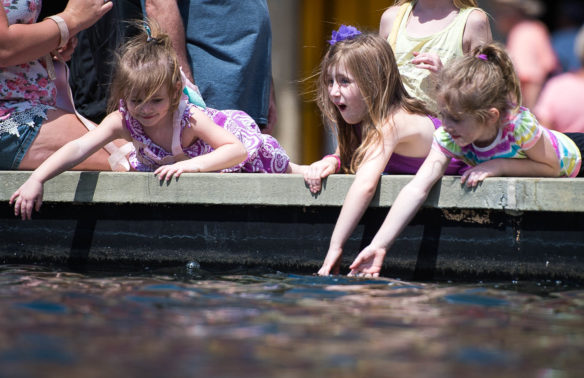 A group of children play in the fountain in front of Freedom Hall at the Kentucky State Fair.  Photo by Bobby Ellis, Aug. 24, 2017