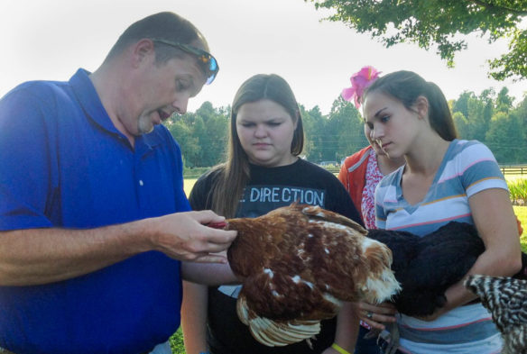 Caldwell County High School's agriculture teacher J. Wes York works with members of the school's FFA Poultry team as they prepared for national competition. York recenlty was named as the 2017 ACTE Region II Teacher of the Year by the Association for Career and Technical Education (ACTE). Photo submitted