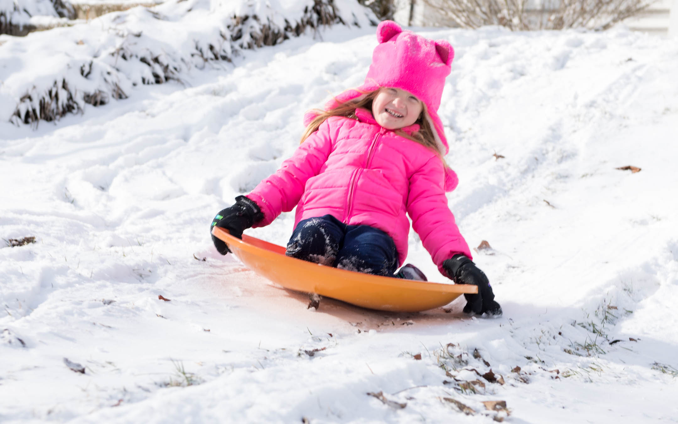 Ella Simpson, a kindergartener at Second Street School (Frankfort Independent), sleds down a hill in front of her house in Frankfort. Photo by Bobby Ellis, Jan. 13, 2018