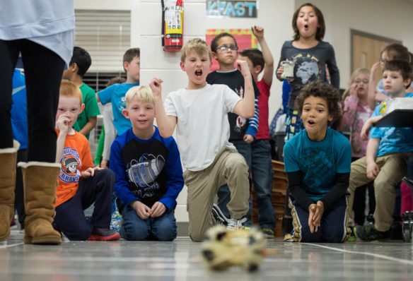 The Mt. Washington Elementary Primary STEM team reacts as their rubber band power car enters the "sweet spot" area. Photo by Bobby Ellis, March 8, 2018