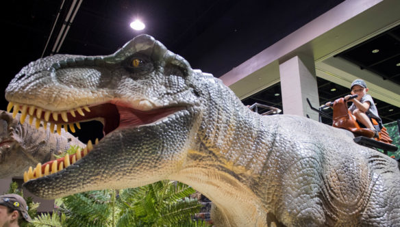 Jada Owens, of Louisville, rides an animatronic Tyrannosaurus rex at the Jurassic Quest in Rupp Arena. Photo by Bobby Ellis, July 6, 2018