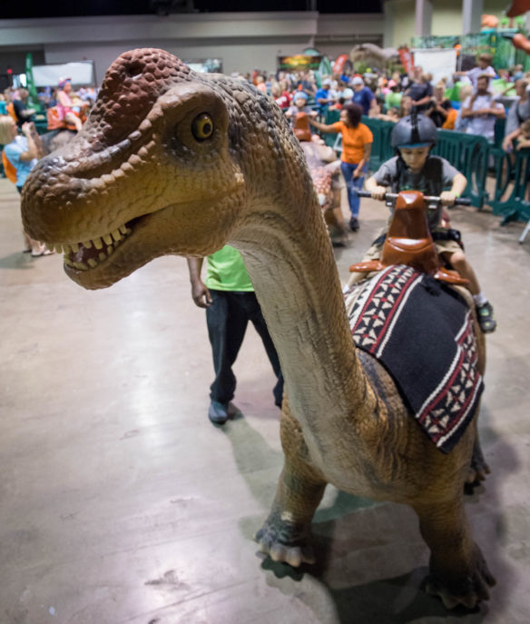 John Lacy, of Moorehead, rides a motorized brachiosaurus while attending Jurassic Quest at Rupp Arena in Lexington. Photo by Bobby Ellis, July 6, 2018