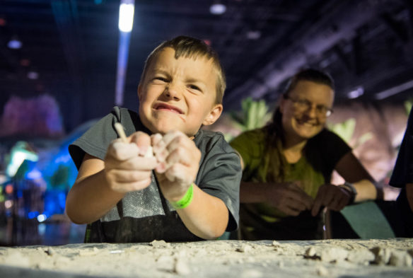 Ethan Ross, of Lexington, attempts to break open a ball of clay to find fossils at Jurassic Quest excavation site. Photo by Bobby Ellis, July 6, 2018