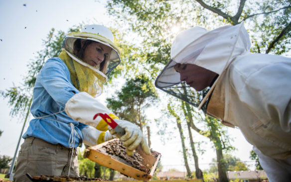 Elizabeth Forbes, left, and Sam Garbin, a 9th-grader at Bowling Green High School, examines a honeycomb. Forbes was inspired to introduce a beekeeping program to the school after watching a documentary called "Vanishing of the Bees.' Photo by Bobby Ellis, Aug. 27, 2018