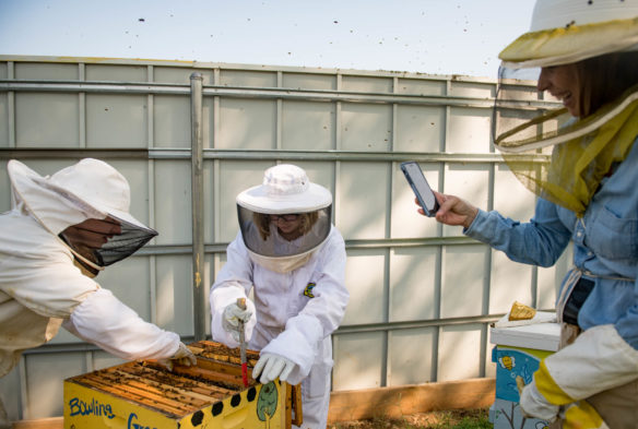 Elizabeth Forbes, right, takes a picture of Sam Garbin, left, and Abby Adams-Smith as they use a hive tool to pull slats from a beehive. Photo by Bobby Ellis, Aug. 27, 2018