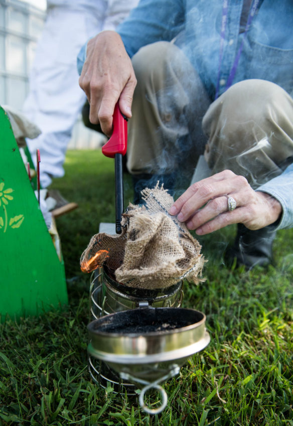 Elizabeth Forbes lights burlap fiber to use in the smoker. Smokers are used to calm down honey bees and calm them. Photo by Bobby Ellis, Aug. 27, 2018