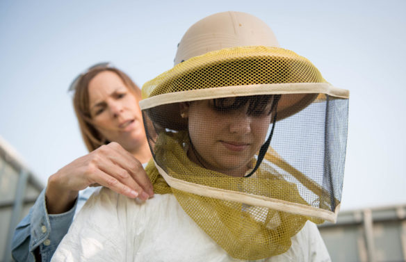Elizabeth Forbes helps Allison Huntsman, an 8th-grader at Bowling Green Junior High, put on a bee suit. Photo by Bobby Ellis, Aug. 28, 2018