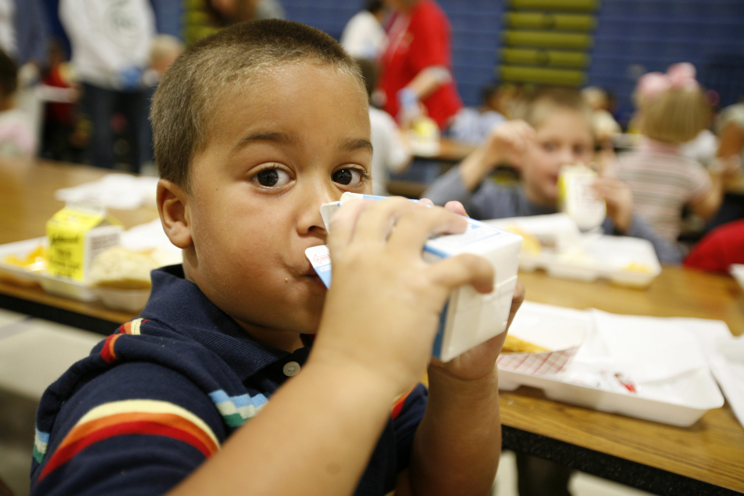 Picture of a young boy in a cafeteria drinking a carton of milk.