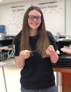 A girl hold two chicks.