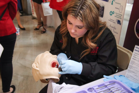 A woman uses dental instruments on a mannequin.