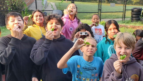 A group of kids smile while holding plant leaves